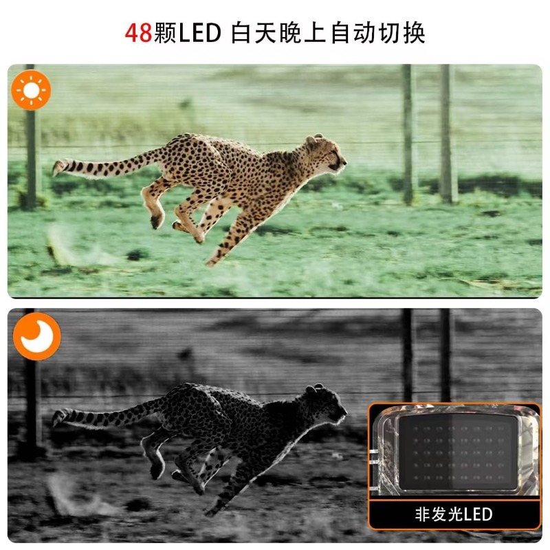 HOT SALE DL001 Hunting Camera  - đánh giá và giá Outdoor Sport Field